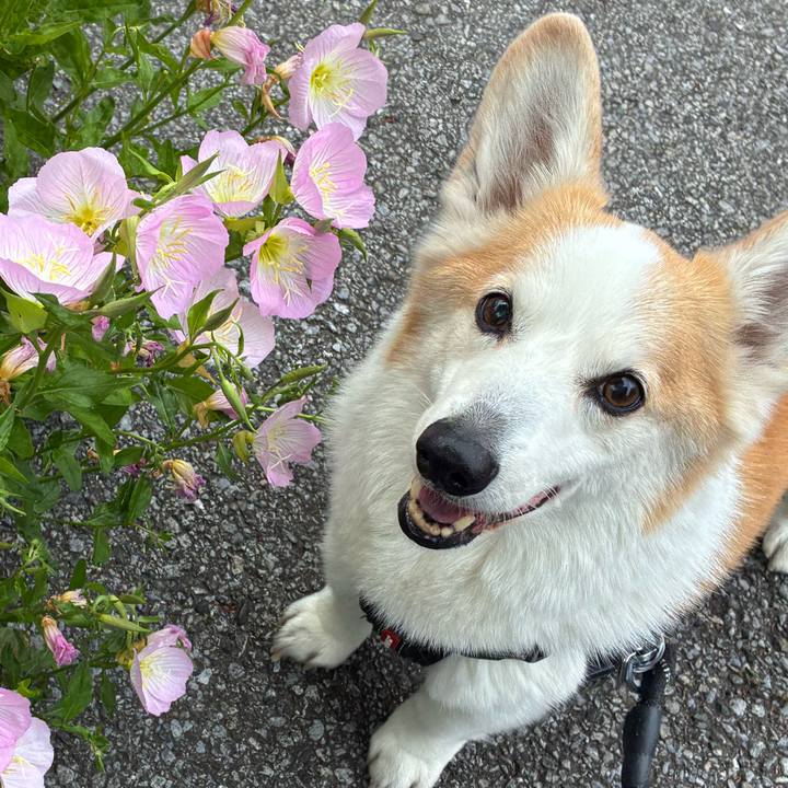 C2075c96 081e 4490 b89d 4befde7e0ded 1776741188891