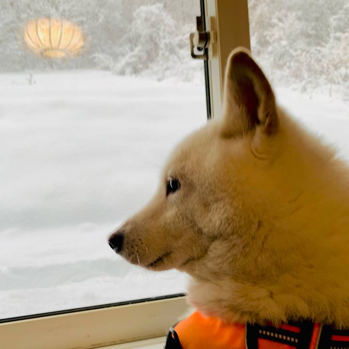 C2079be2 53ac 4321 9256 172fddc01723 1637822716235