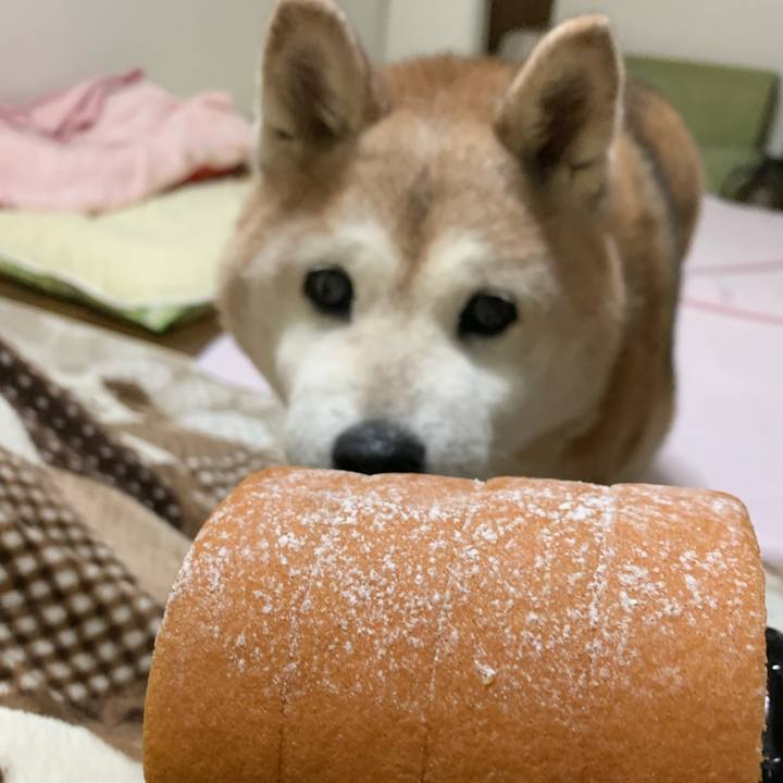 C207a22c b0b6 487a bec0 e0208449d2c9 1666435450188