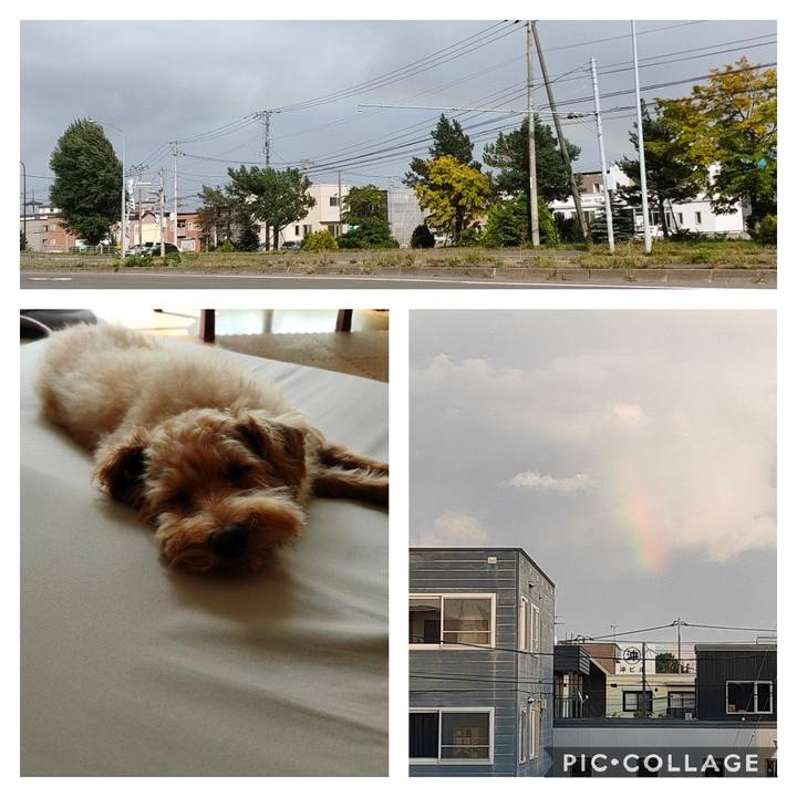 C207a6a4 bf63 4bb1 8d2e 359343f1a1f2 1601644916256