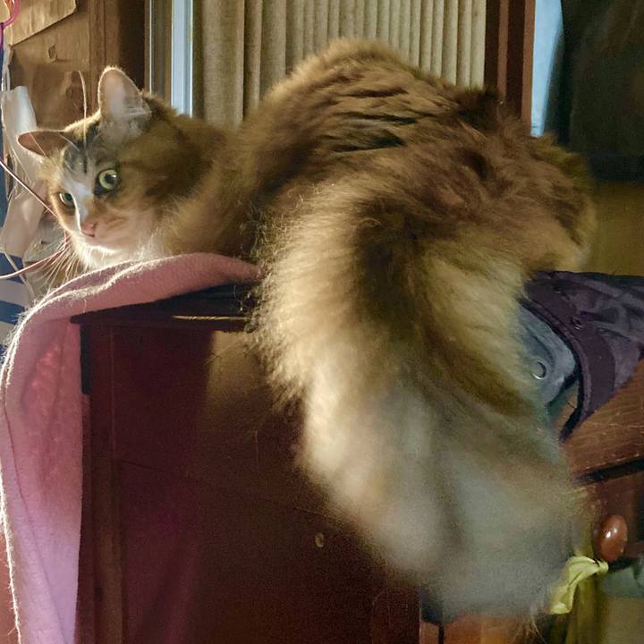 C207bcec 14ca 4ddd 87e6 17d0d4d8d4f0 1632197806176