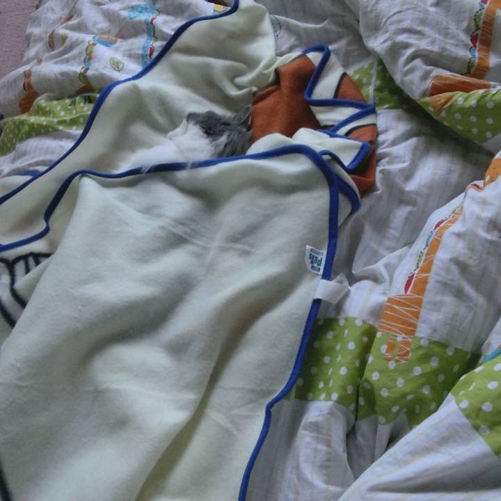 C208226c 7e49 4d8d bc88 e8984f0c2cb0 1621724027062