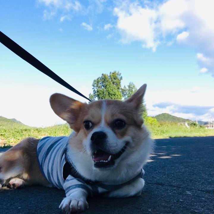 C2088cde ae9b 4dcb b88d ff3dac627d8d 1570931693276