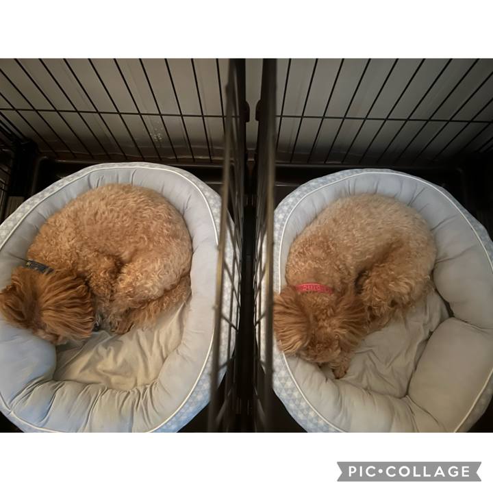 C208b97a dee8 408f 9cf1 ea789ed9f318 1692482997933