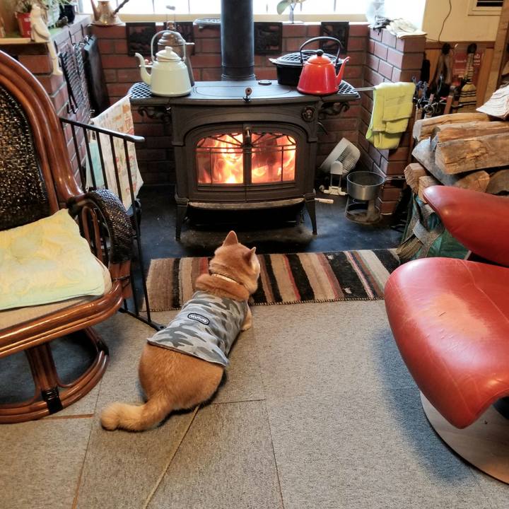 C208e32b c1ad 4c68 a571 0bd46e739221 1614295118067