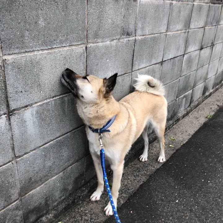 C2090da3 ac87 4114 bc03 69b130329605 1590065580942