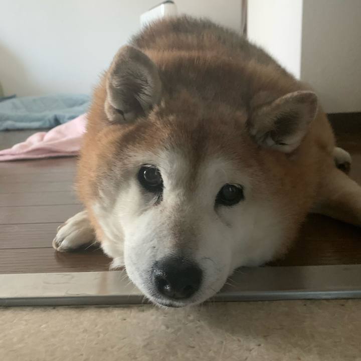 C2092a55 2ecc 44f4 9f41 9608bc97e0c6 1611107814249