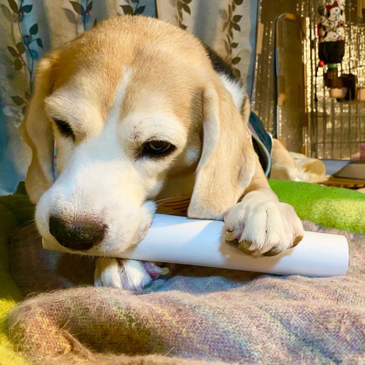 C2093c2a d94c 4e0a 841a 064843c9503c 1630282253356