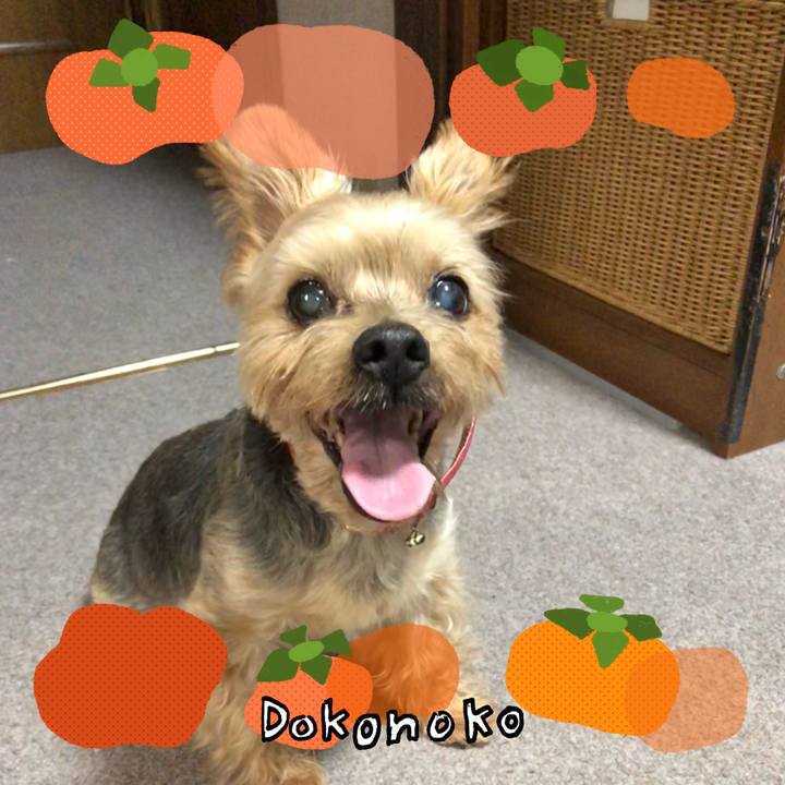 C2097232 6342 4020 8363 28a635056da8 1761385567996