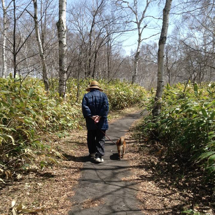 C20982b2 a013 4a73 8225 cbdf0c2aeebb 1652503829795