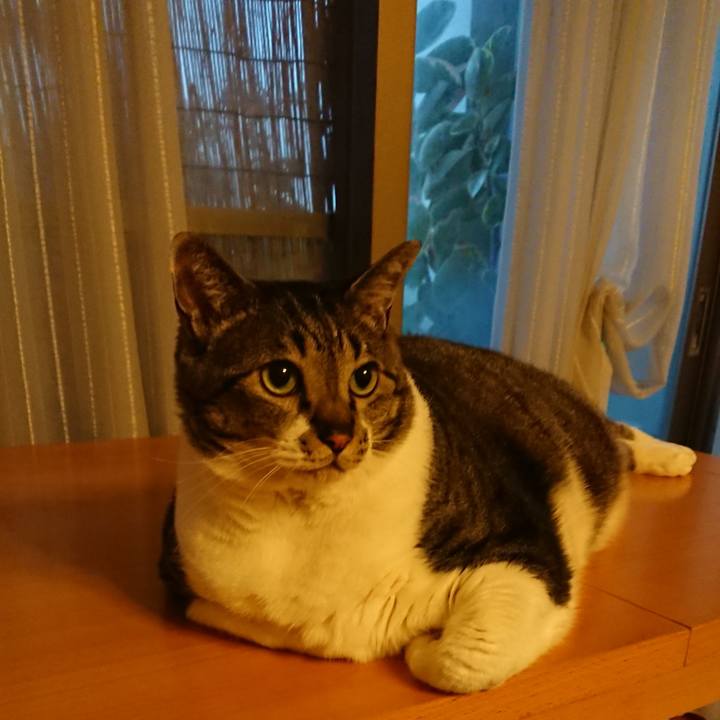 C20984d2 2ac8 4eec a05a ccbf0a8134fb 1562798173558