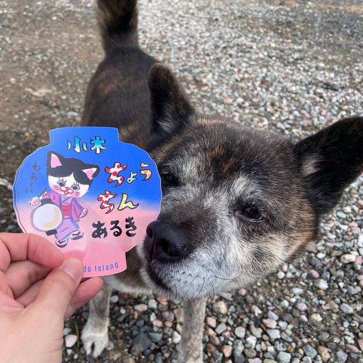 C20a5665 58e5 436e 956e 8225b4f76b2a 1673151867594