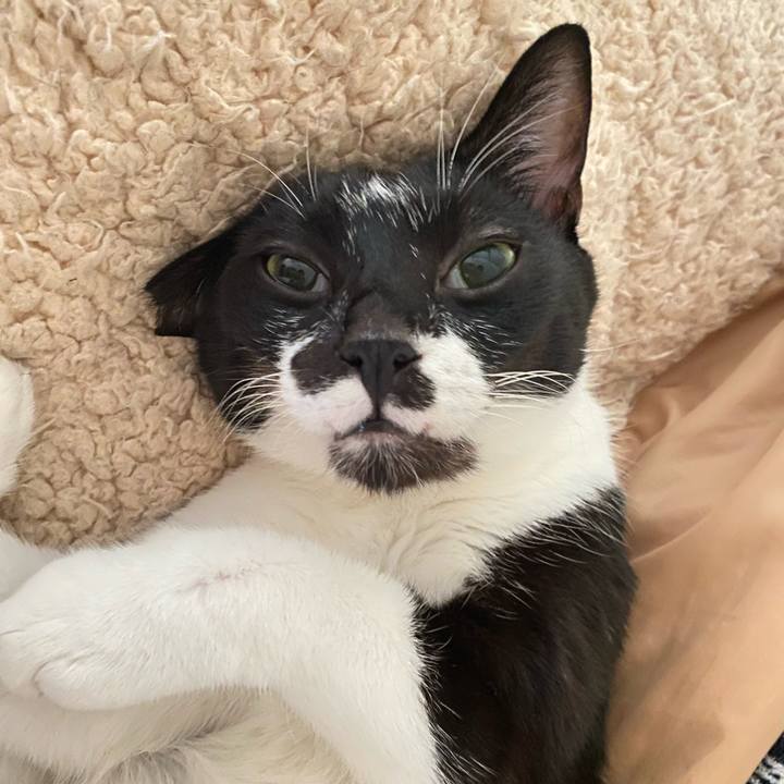 C20a986a 06ad 433e a495 e065d7cded7c 1663968333947