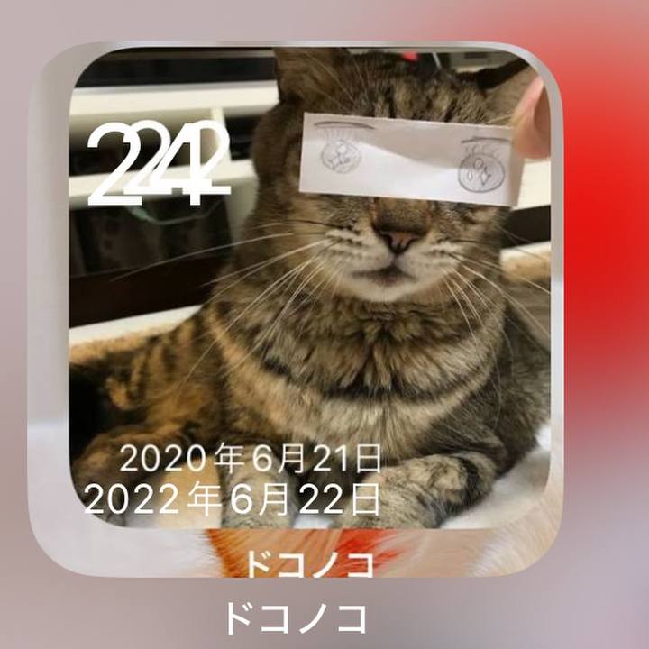 C20acc53 fcf1 41ba b82e 98986daf6d4e 1719223482054