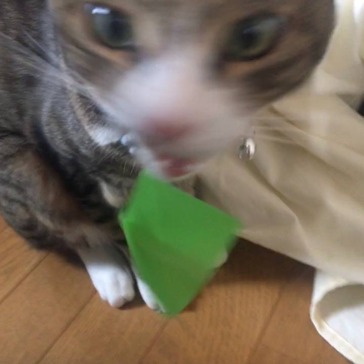 C20af6f6 d578 4311 aa51 da1e72f93a28 1702464589437