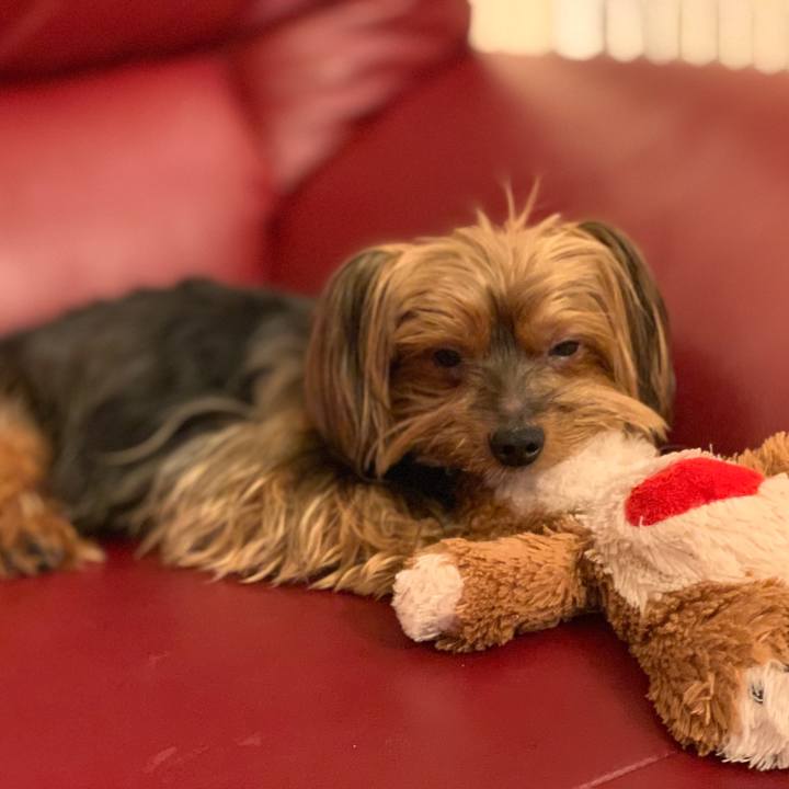 C20afcac 422a 4421 a554 8a8d765c94ed 1537858793366