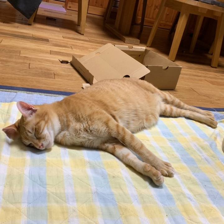 C20b1c74 6a49 453a becc 07c2b91892a2 1558534422815