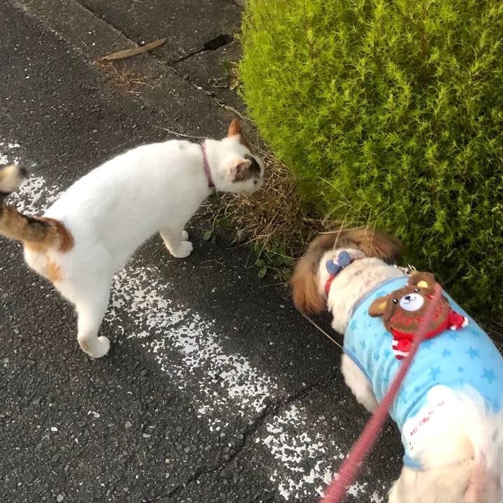 C20b4d8b d73f 464e b263 97e46acd6e84 1541233006195