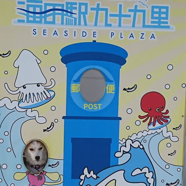 C20b692f b9b6 470c aa61 ffdac62584fb 1569814515487