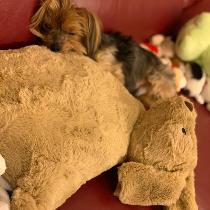 C20b88b6 fa78 4464 8033 da978efebb61 1579522055770