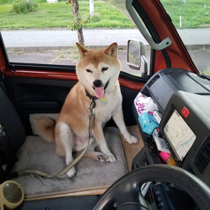 C20baf8b d9c4 4111 84dc 5c41f2cc9313 1659087528288