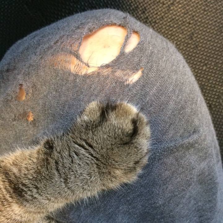 C20bc633 3199 4708 87de 536533dbe649 1588387798137