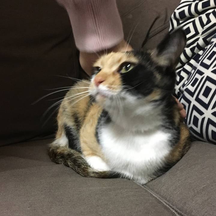 C20bcb5e e199 4723 a809 a5aecfdd94ea 1521985913831