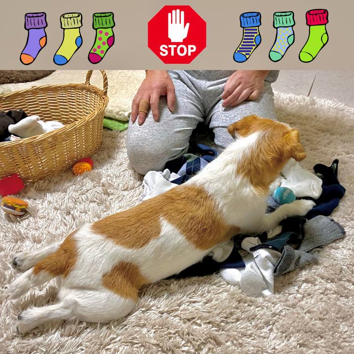 C20bdea7 f146 4e49 92f4 dfc13a440d24 1673404445856