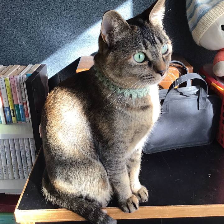 C20bfb8c 1635 4fa8 8046 826a2c0bca15 1643682028042