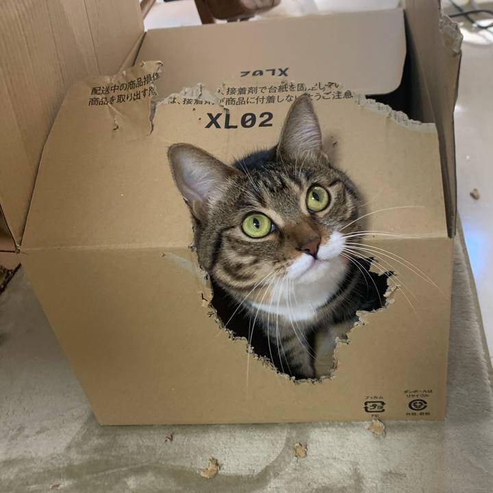 C20c0d12 6eba 4bad 93c4 4ceeee577a2e 1610547007195