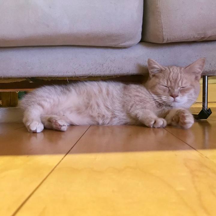 C20c0f7c 7ec1 4309 af26 5164e60a61cf 1516619369968