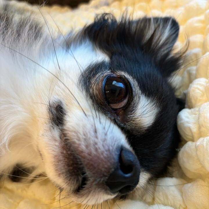 C20c210e 36db 41de b394 471df1b6295c 1726331498766