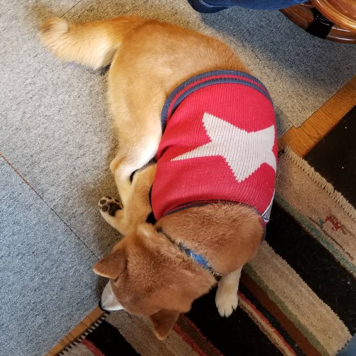 C20c43c1 07f6 4cbe 8d2f 5a21a3724084 1583626551621