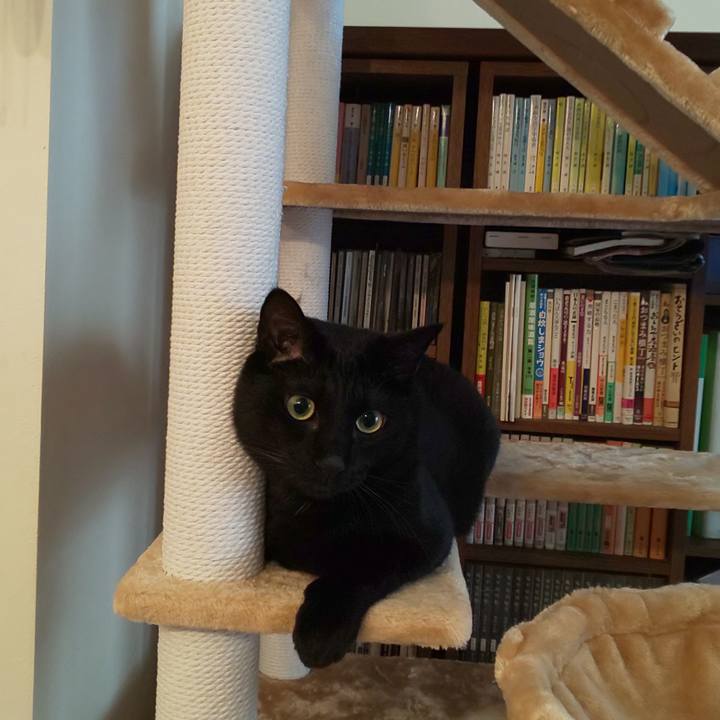 C20c485a a1a4 41a2 b10f a0c7f33eb4bf 1566166910177