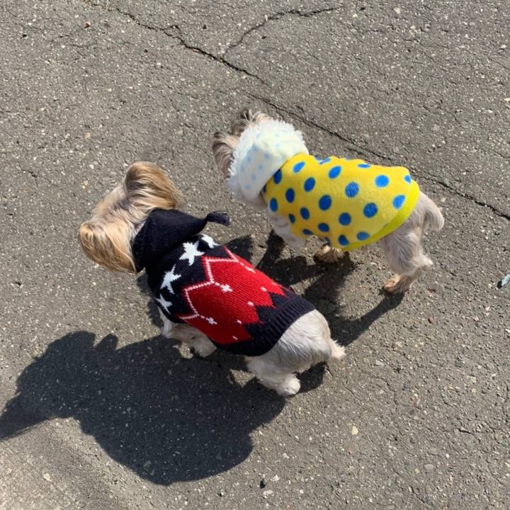 C20c5edd caf1 473d a319 21f46190d513 1678787459094