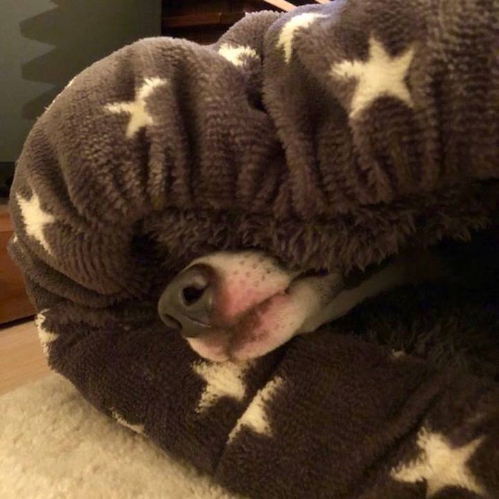 C20c9ecf c692 48b7 8ddc 63299a06493c 1519992721041