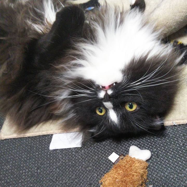 C20cfada f7ed 42a1 9494 55a2e144c98b 1658363645794