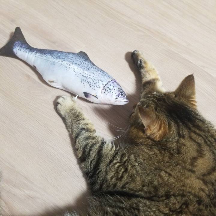 C20d1f0a d034 48ad a3a5 4bbafc73ed42 1579298945354