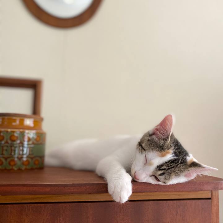 C20d6791 34fc 4d1f adee 5c5e1d05b0b3 1595213005487