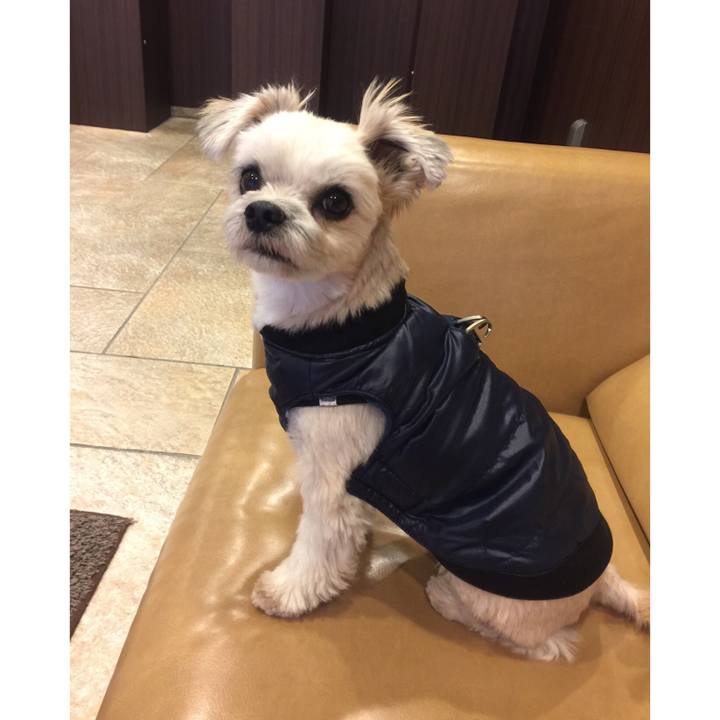 C20dd112 7466 4d5f 86d9 40f098d6b573 1544936537178