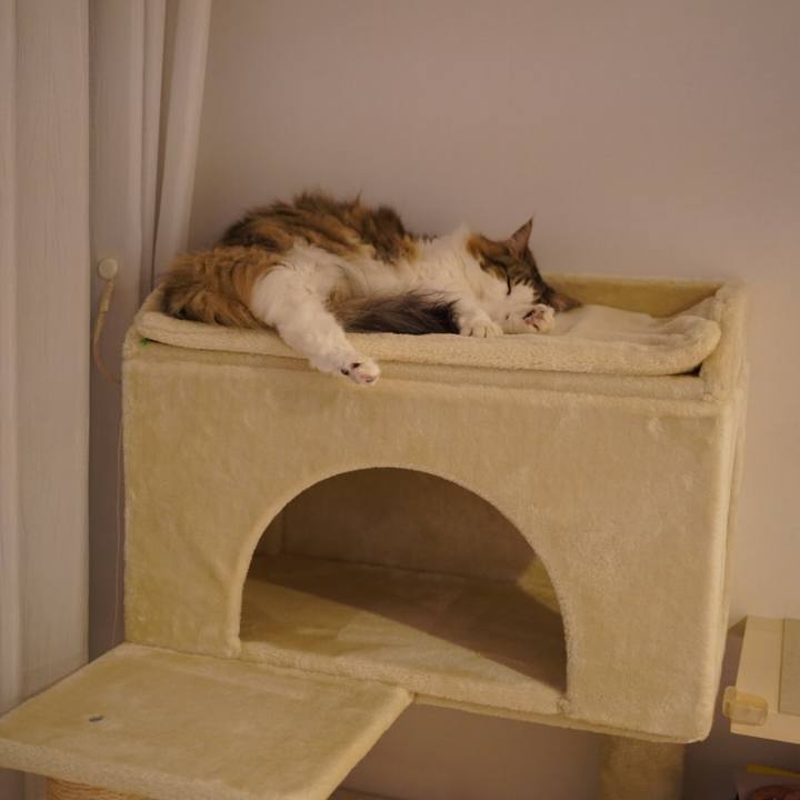 C20dff03 6913 4af9 b7a8 5ab32b0d8f44 1622471212002