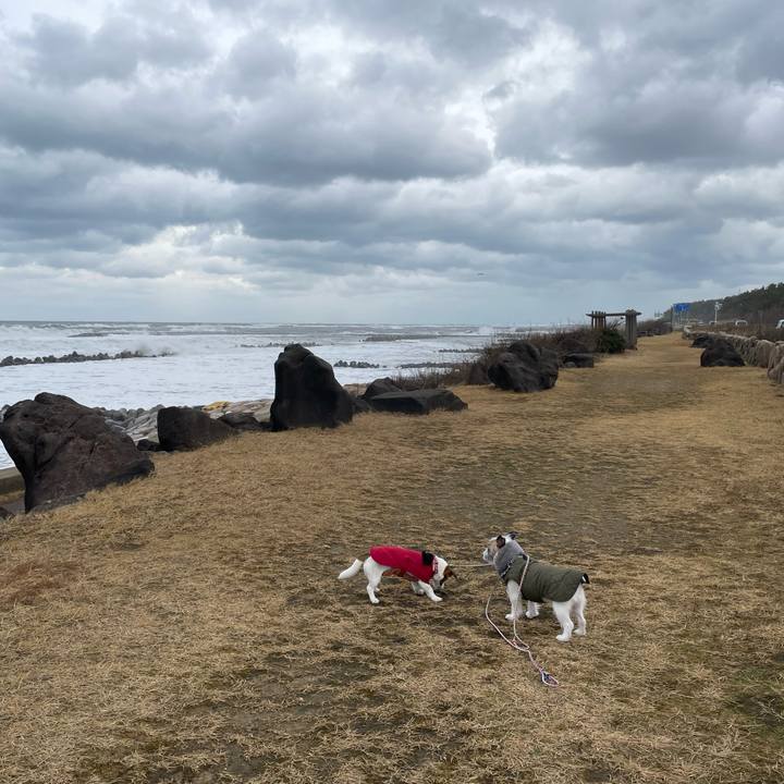 C20e06d8 84e0 4af4 ad36 8afeb4a18256 1642033400179