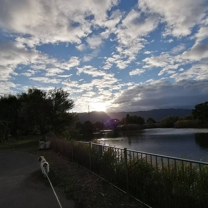 C20e2113 7723 456d ae13 4e6d3d7e8cd1 1604922449885