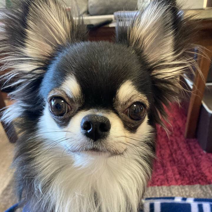 C20e2621 6532 4b32 a2e8 ba9e18c481e4 1612566820805