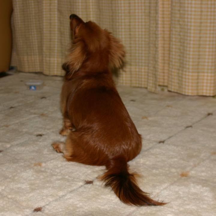 C20e3bf4 d3cf 4f70 bbec 4bde0249f125 1529258552870