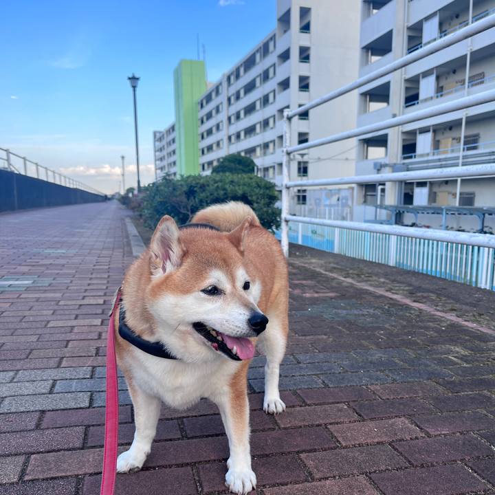 C20e44ee 84b0 4f0e ac05 f27d25c091a0 1697284939398