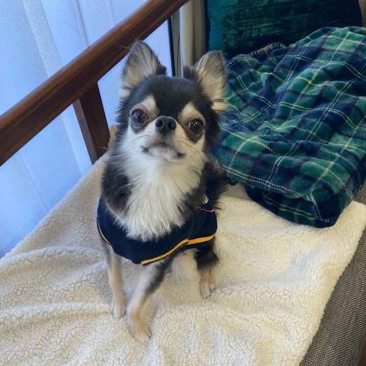 C20e70ec 3a99 44c5 bc6c ebf8bfe9a5dd 1645587018299