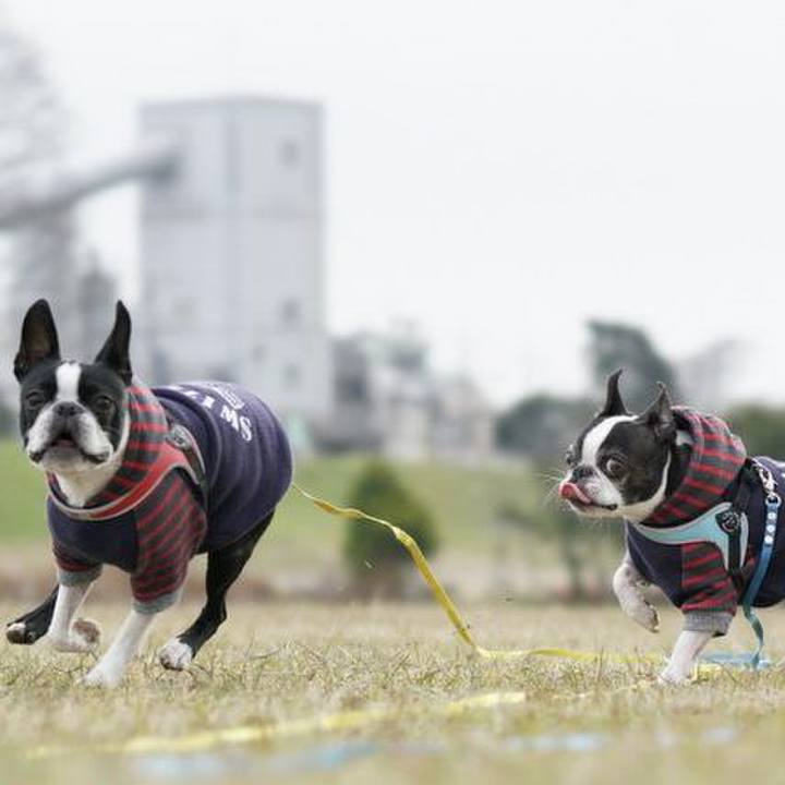 C20e8f45 6ad1 4a29 8073 c4a605c5357e 1548671394606