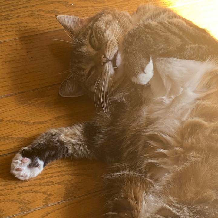 C20eabdc 5ca5 44fb 9fef 4fd409e8d359 1697252654215