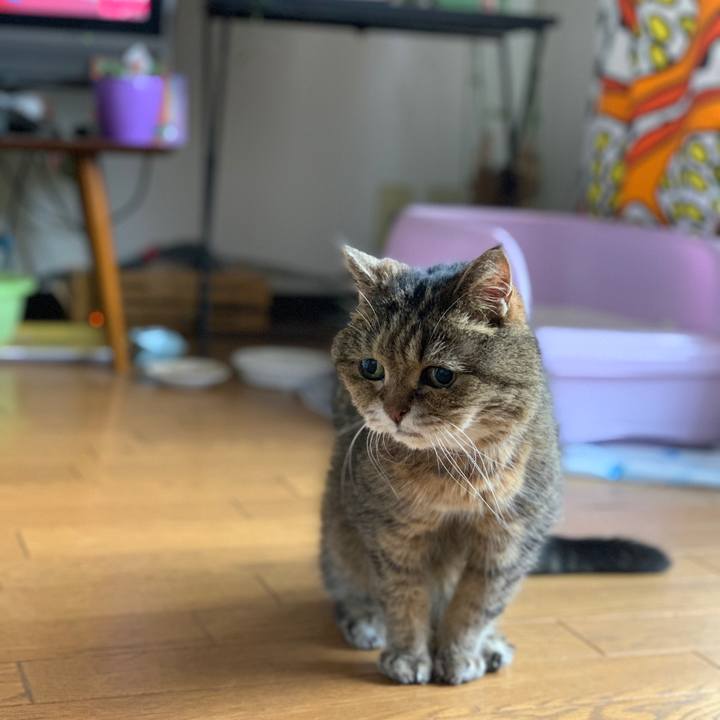 C20f01d9 af1c 4769 9b1b fa551d51306a 1562548232155